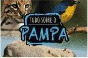 BIOMAS DO BRASIL - TUDO SOBRE O PAMPA